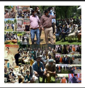 Read more about the article डीडीसी अनंतनाग ने दूर-दराज के इलाकों का किया दौरा, दांडीपोरा, गुरीद्रमन में सार्वजनिक दरबार लगाए