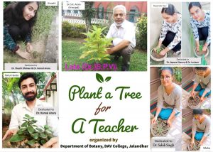 Read more about the article डीएवी कॉलेज, जालंधर में “एक शिक्षक के लिए एक पेड़ लगाओ” कार्यक्रम आयोजित