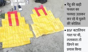 Read more about the article BSF ने बॉर्डर से पकड़े 2 पाकिस्तानी पीले रंग की जैकेट में छिपा रखी थी 2.760 किलोग्राम हेरोइन मोबाइल पाक करेंसी और टॉफियां भी मिलीं