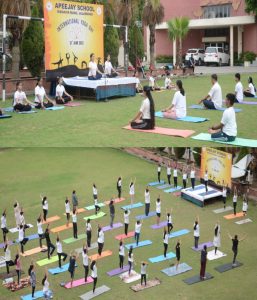 Read more about the article एपीजे स्कूल महावीर मार्ग में अंतर्राष्ट्रीय योग दिवस धूमधाम से मनाया गया