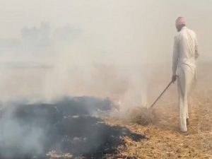 Read more about the article पराली जलाने में फिर मुख्यमंत्री भगवंत मान का जिला अव्वल संगरुर में जली 452 जगह खेतों में आग लगाने का आंकड़ा 24000 पार