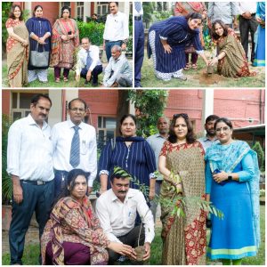 Read more about the article एपीजे कॉलेज ऑफ फाइन आर्ट्स जालंधर में एलआईसी (LIC) के सौजन्य से किया गया पौधारोपण || Plantation drive organized at ACFA along with LIC